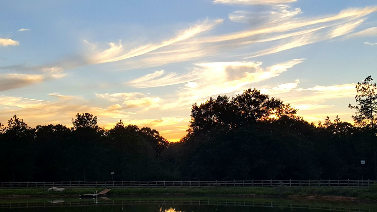 tree, sunset, sky, no people, silhouette, cloud - sky, outdoors, nature, sport, day