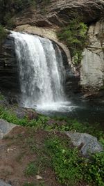 Scenic view of waterfall in forest