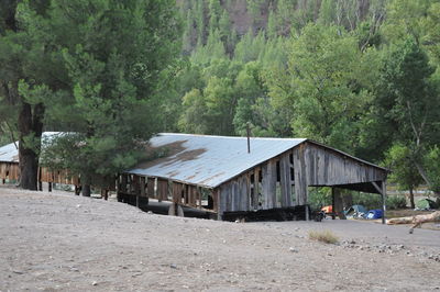 Houses by trees in forest