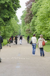 Rear view of two people walking on road