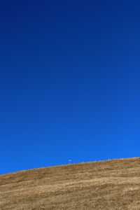 View of tree against blue sky
