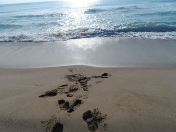 Footprints on shore
