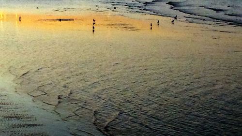 View of sandy beach