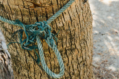 Close-up of rope tied on wooden post