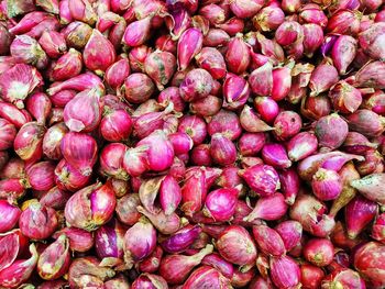 Full frame shot of purple for sale at market stall