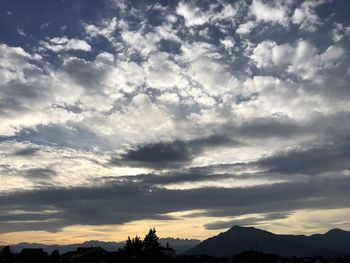 Low angle view of silhouette trees against sky during sunset