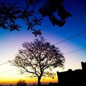 Low angle view of silhouette tree against clear sky