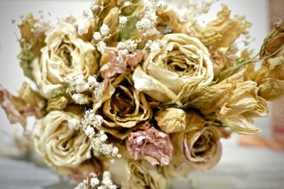 Close-up of wilted roses