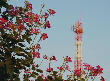 Low angle view of built structure against clear sky