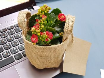 Close-up of flowers in basket