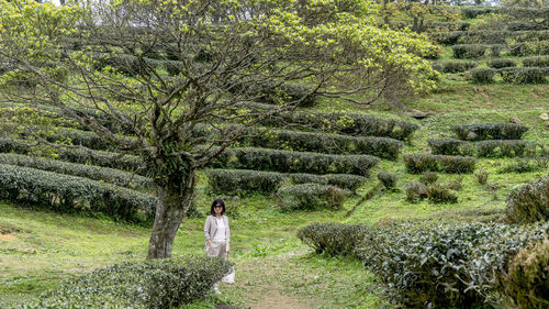 Woman standing by tree in forest