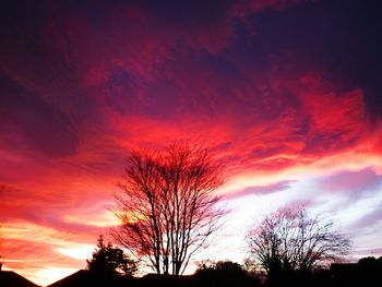Low angle view of silhouette trees against sky at sunset