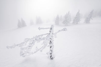 The beauty of winter on the snowy mountains.