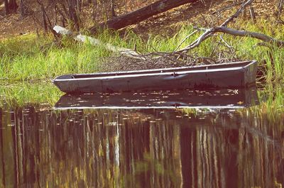 Plants in lake