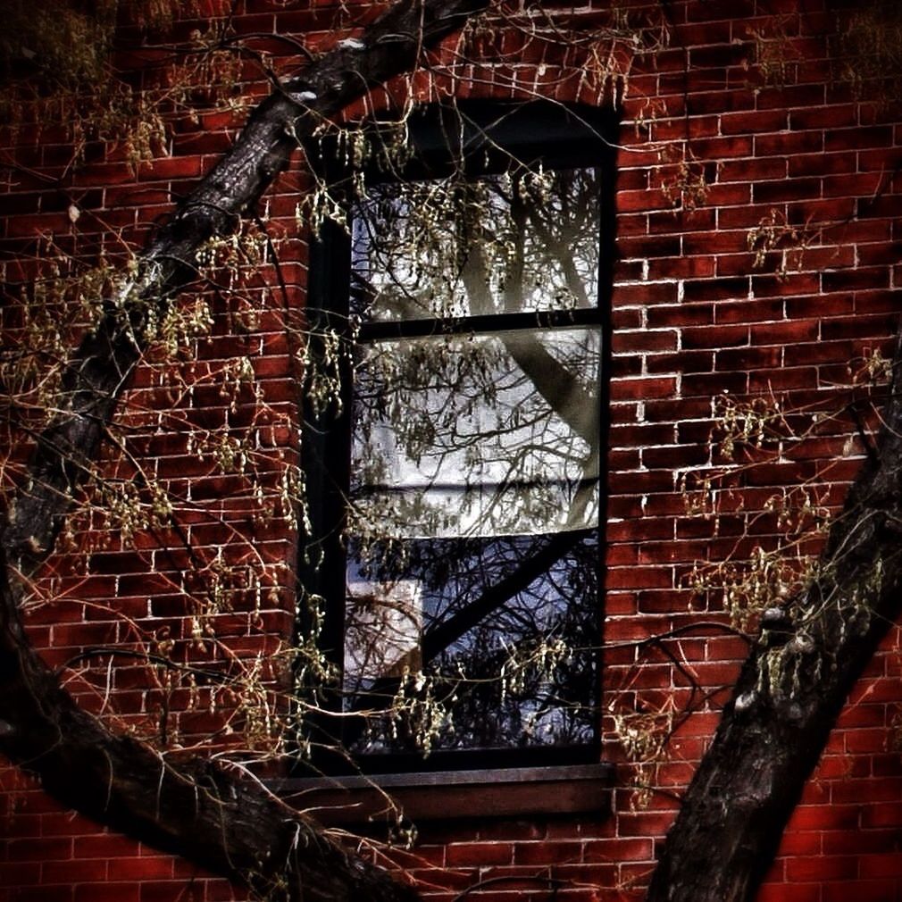 architecture, built structure, brick wall, building exterior, wall - building feature, old, window, abandoned, weathered, house, damaged, obsolete, deterioration, metal, wall, run-down, door, bad condition, rusty, day
