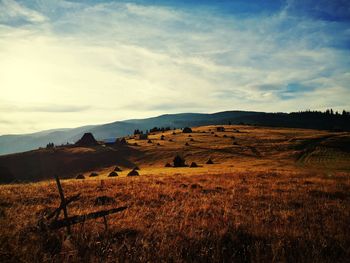 Scenic view of field against sky