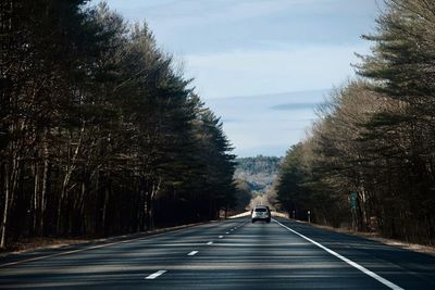 Empty road along trees