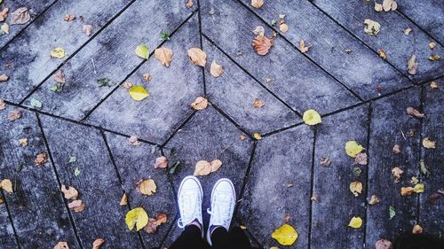 Low section of person standing on footpath during autumn