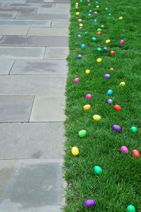 Colorful easter eggs on green grass