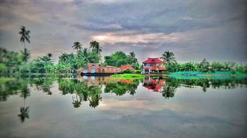 Scenic view of lake and palm trees against sky