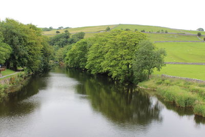 Scenic view of river amidst trees against clear sky