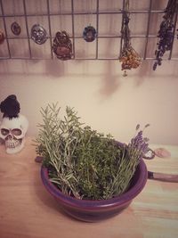 High angle view of potted plants on table at home