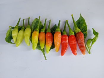 High angle view of vegetables on table against white background