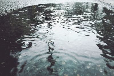 Reflection of trees in water