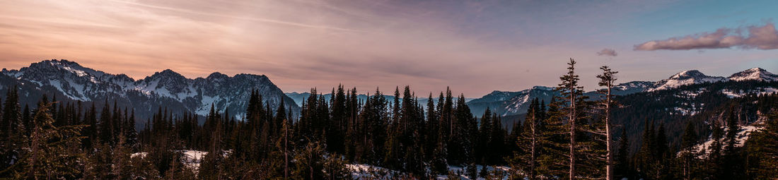 The beautiful wildness of the pacific west, washington state. a breath taken panoramic view. 