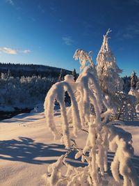 Scenic view of snow covered land against sky