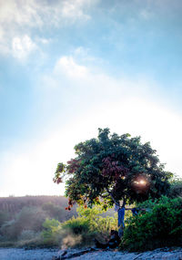 Tree by plants against sky