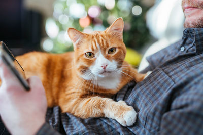 Midsection of man with cat