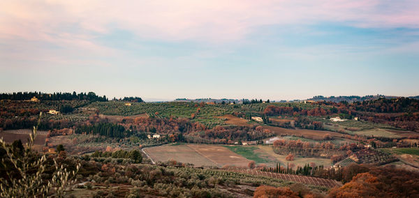 Tuscany hills rural countryside landscape, cypress passages and vineyards. wheat, olives cultivation