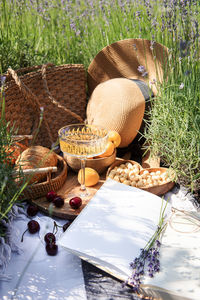 Summer picnic on a lavender field with champagne glasses, croissants, apricots and cherry berries