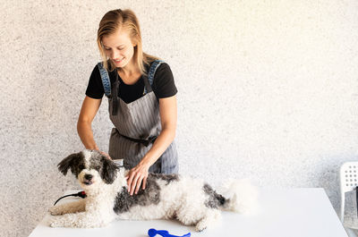 Young woman grooming dog at salon