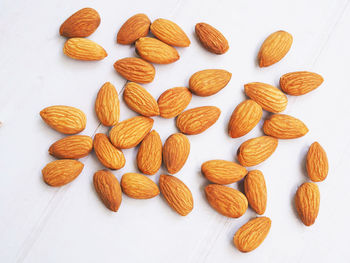 High angle view of candies against white background