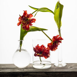 Close-up of red flowers in vase on table