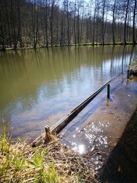 High angle view of lake in forest