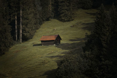 Scenic view of cottage amidst trees in forest