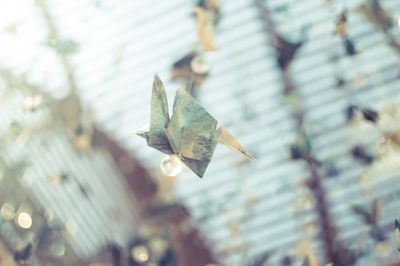 High angle view of origami crane glass