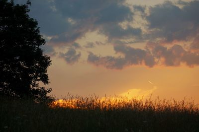 Scenic view of field against sky at sunset