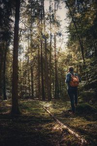 Full length rear view of man in forest