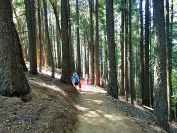People walking on road in forest