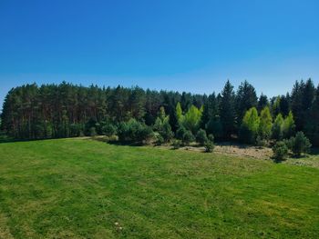 Scenic view of green landscape against clear blue sky