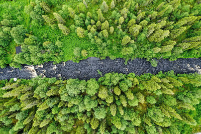 Aerial view of forest and flowing river in finnish lapland