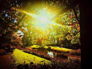 Trees on landscape during autumn