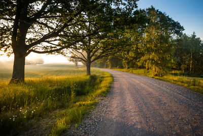 A summer morning landscape with a gravel road in the rural area. countryside dirt road.