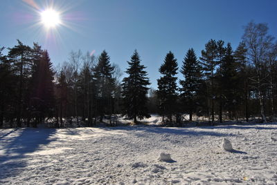 Trees on snow covered land against sky