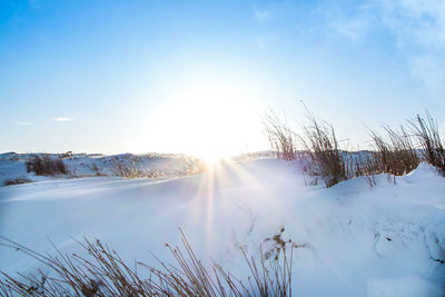 Scenic view of frozen landscape against clear sky during winter