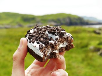 Close-up of hand holding mushroom